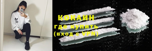 индика Наволоки
