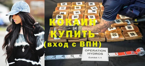 индика Наволоки