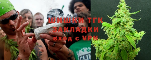 индика Наволоки