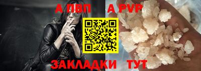 дмт Кингисепп