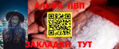 дмт Кингисепп