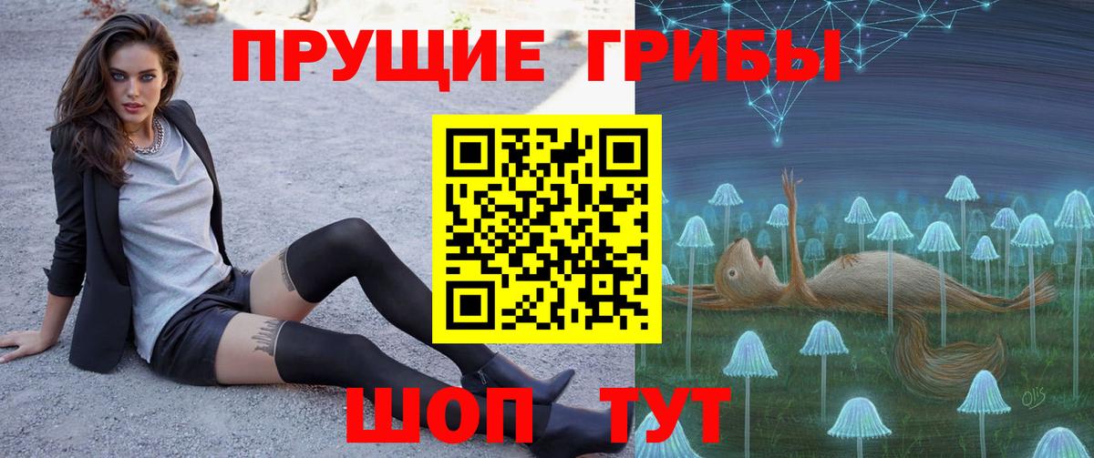 Обь  как найти   Вход с VPN  Галлюциногенные грибы Psilocybe 
